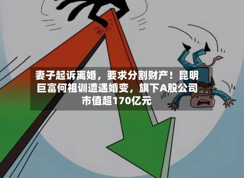 妻子起诉离婚	，要求分割财产！昆明巨富何祖训遭遇婚变，旗下A股公司市值超170亿元-第1张图片