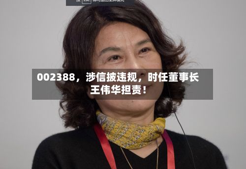 002388	，涉信披违规，时任董事长王伟华担责！-第1张图片