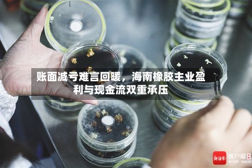 账面减亏难言回暖	，海南橡胶主业盈利与现金流双重承压-第1张图片