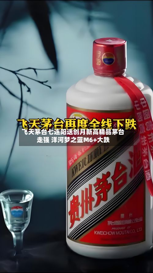 飞天茅台七连阳迭创月新高精品茅台走强 洋河梦之蓝M6+大跌-第1张图片