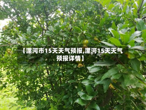 【漯河市15天天气预报,漯河15天天气预报详情】-第1张图片