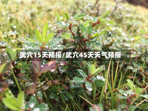 武穴15天预报/武穴45天天气预报-第1张图片