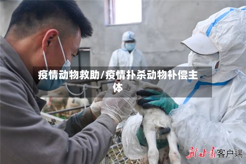 疫情动物救助/疫情扑杀动物补偿主体-第1张图片