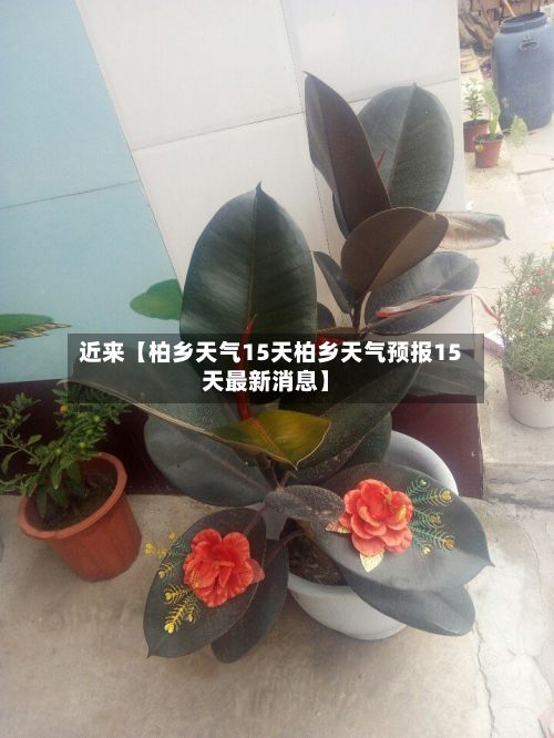 近来【柏乡天气15天柏乡天气预报15天最新消息】-第1张图片